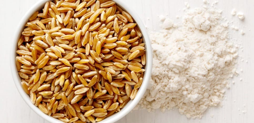 카무트쌀  부작용 효능